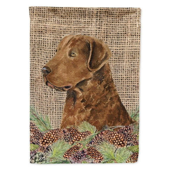 Carolines Treasures SS4108-FLAG-PARENT Curly Coated Retriever Flag  multicolor