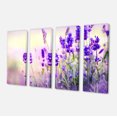 thumbnail image 2 of Champ de Lavande Violette - Impression sur Toile Photographie Florale, 2 of 3