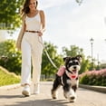 thumbnail image 5 of Adjustable Backpack‑Style Pet Harness For Small Pets, Lightweight Breathable Harness With Storage Pockets For Outdoor Travel Camping Daily Walks, 5 of 5