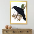 thumbnail image 3 of Designart 'Ancient Australian Birds VI' Traditional Framed Art Print, 3 of 4