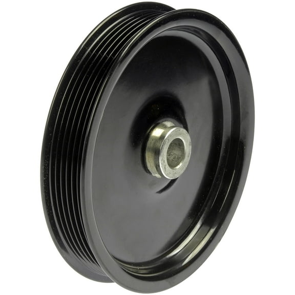 Dorman 300-015 Power Steering Pump Pulley for Specific Ford / Mercury Models, Black