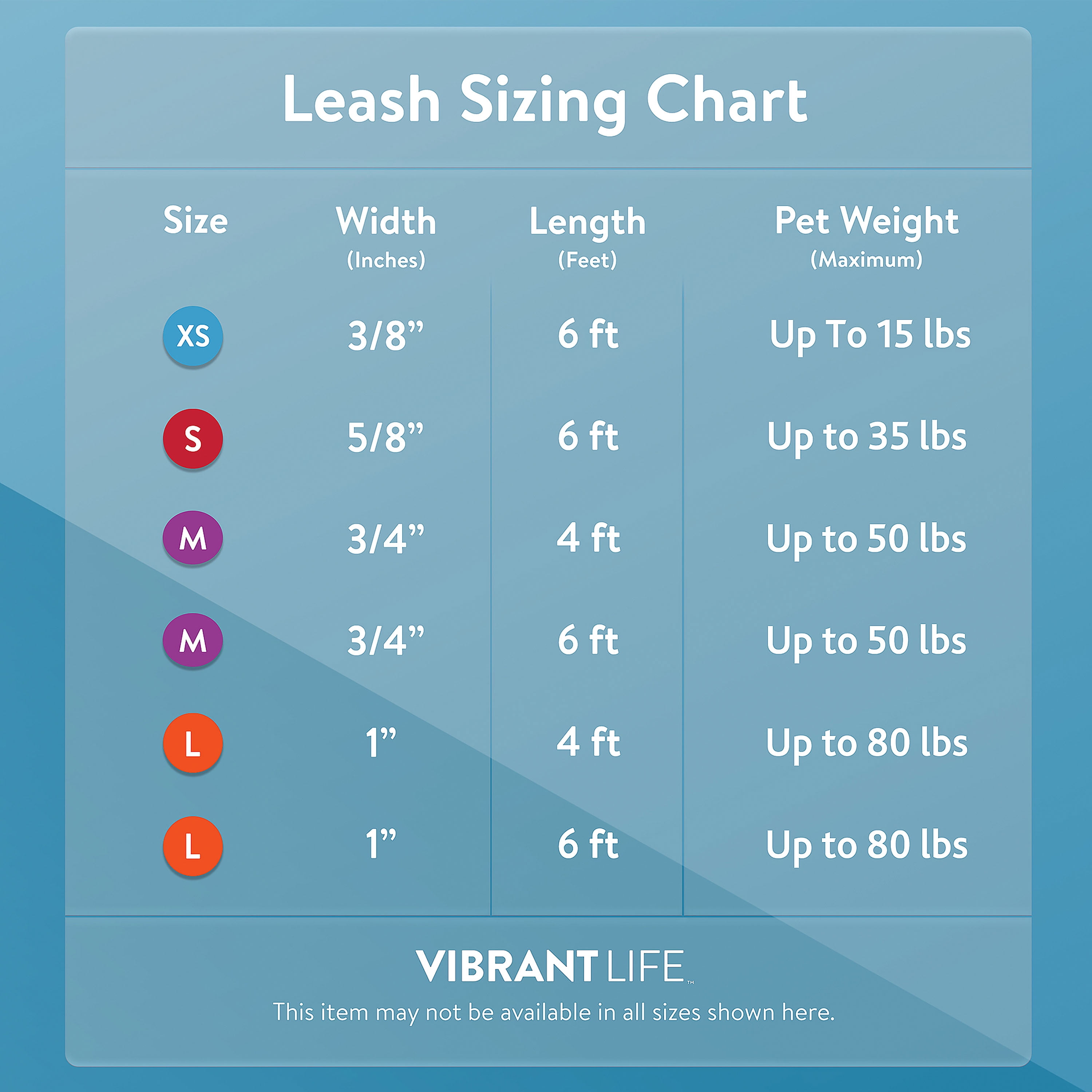 Vibrant Life 4' Polyester Standard Dog Leash, Teal
