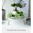 thumbnail image 5 of Yamazaki Home Countertop Pedestal Tray, White, Steel + Wood, Supports 3.3 pounds, Minimal Assembly, 5 of 7