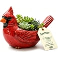 thumbnail image 2 of Cardinal Bird Succulent Planter – Red Resin Cardinal Outdoor Decor Planter – Decorative Animal Flower Pot for Garden, Patio, Balcony – Gift for Bird Lovers (1PC), 2 of 6