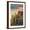 Brown Frame, variant on Art.com Organ Pipe Cactus National Monument, Arizona Art Print by Lantern Press, White Frame Wall Art, 17" x 23"
