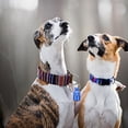 thumbnail image 2 of 5pcs Anti Lost Pet Neck Hanging Tag Decorative Name Paper Holder Pendant, 2 of 8