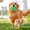 Green, variant on Dog Oral Nub Squeaky Ring, Relief & Comfort for Teething Puppies, Floating Fetch Ring, Creates Slow Bowl for Fast Eaters, Round Rubber Ring Won’t Dent Floors, Puppy Essentials, TPR