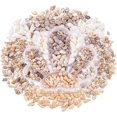 thumbnail image 1 of PH PandaHall 460pcs Natural Spiral Shell Beads, 7~20mm 6 Styles Small Seashells Undrilled Ocean Spiral Seashells Miniature Shells for DIY Jewelry Craft Wedding Decor Fish Tank Vase Filler, No Hole, 1 of 7