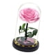 thumbnail image 4 of Rosas de cristal, regalo de flores, aniversario, regalo romántico, regalos del Día de San Valentín para hombres, decoración del Día de San Valentín, , rosa BLESIY luz de mesa, 4 of 8