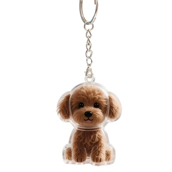 Transparent Dog Hair Keepsake Keychain Charm - Poodle Pet Hair Memorial Storage Box, Decorative Pendant, Memorial Keychain