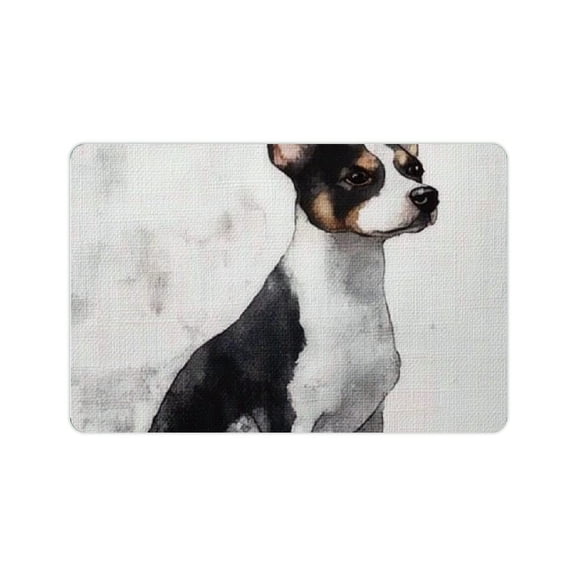 ZFLMY Black And White Dog Bath Mat Eco-Friendly Quick Drying Home Use 24x16in