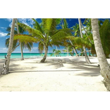 Beautiful Caribbean Beach in Dominican Republic Print Wall Art By (Best Place To Visit In Dominican Republic For Singles)