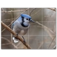 thumbnail image 1 of Picture-Tiles.com: Bird Ceramic Tile Wall Mural WAL500174-43L. 32"W x 24"H using (12) 8" x 8" Ceramic Tiles-Satin Finish, 1 of 3