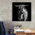 thumbnail image 6 of Epic Graffiti 'Hippy Highland Cow' by Epic Portfolio Giclee Canvas Wall Art, 37"x37", 6 of 8