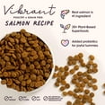 Vibrant Salmon Grain Free Dog Food Dry, 4lb Bag, Natural Adult Kibble