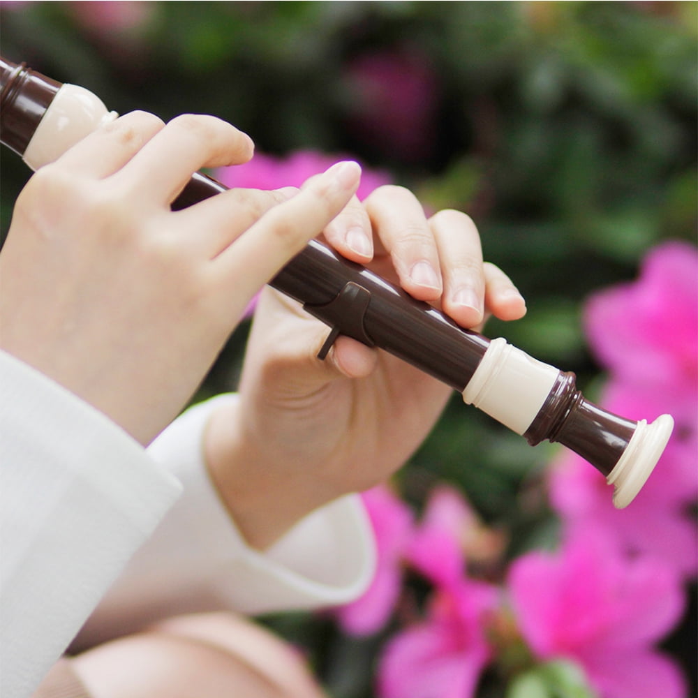 Buy IRIN ABS Descant Recorder 8 Hole Baroque Style Recorders Instrument Detachable with Finger