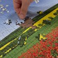 thumbnail image 5 of Ambesonne Colorful Jigsaw Puzzle Durable Cardboard, Poppy Field Landscape, 1000 pcs, Multicolor, 5 of 6