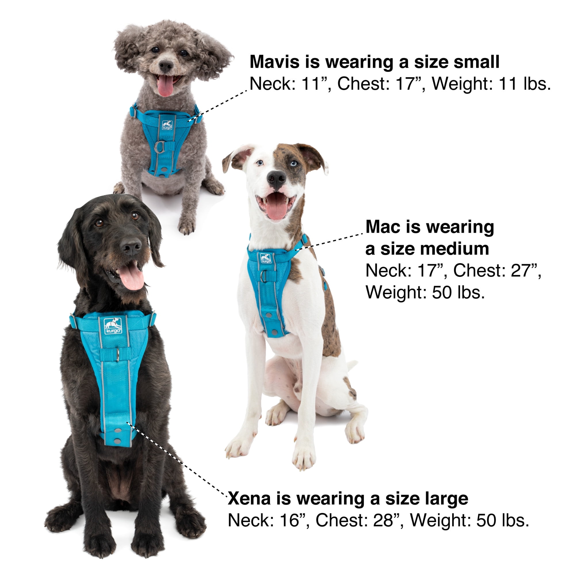 Kurgo Tru-Fit Smart Harness, Front D-Ring for No Pull Training, Includes Dog Seat Belt Tether, Black, Small