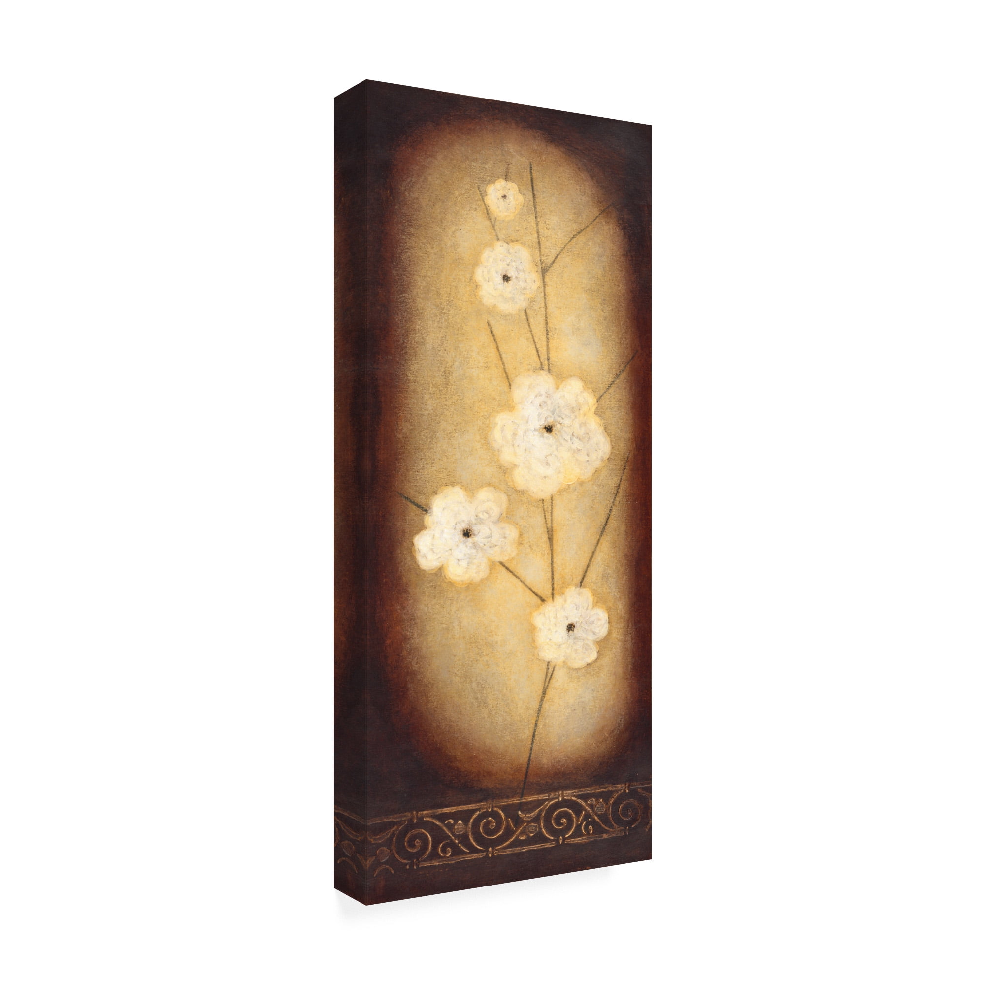 Trademark Fine Art 'Large White Flowers In Circle ' Canvas Art by Pablo Esteban
