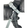thumbnail image 5 of Vibrant Life Medium Dog Collar, Grey, 5 of 6
