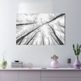 thumbnail image 1 of Large Canvas Art Featuring a Scenic View of Tall Trees for Home Wall Decor, 1 of 1