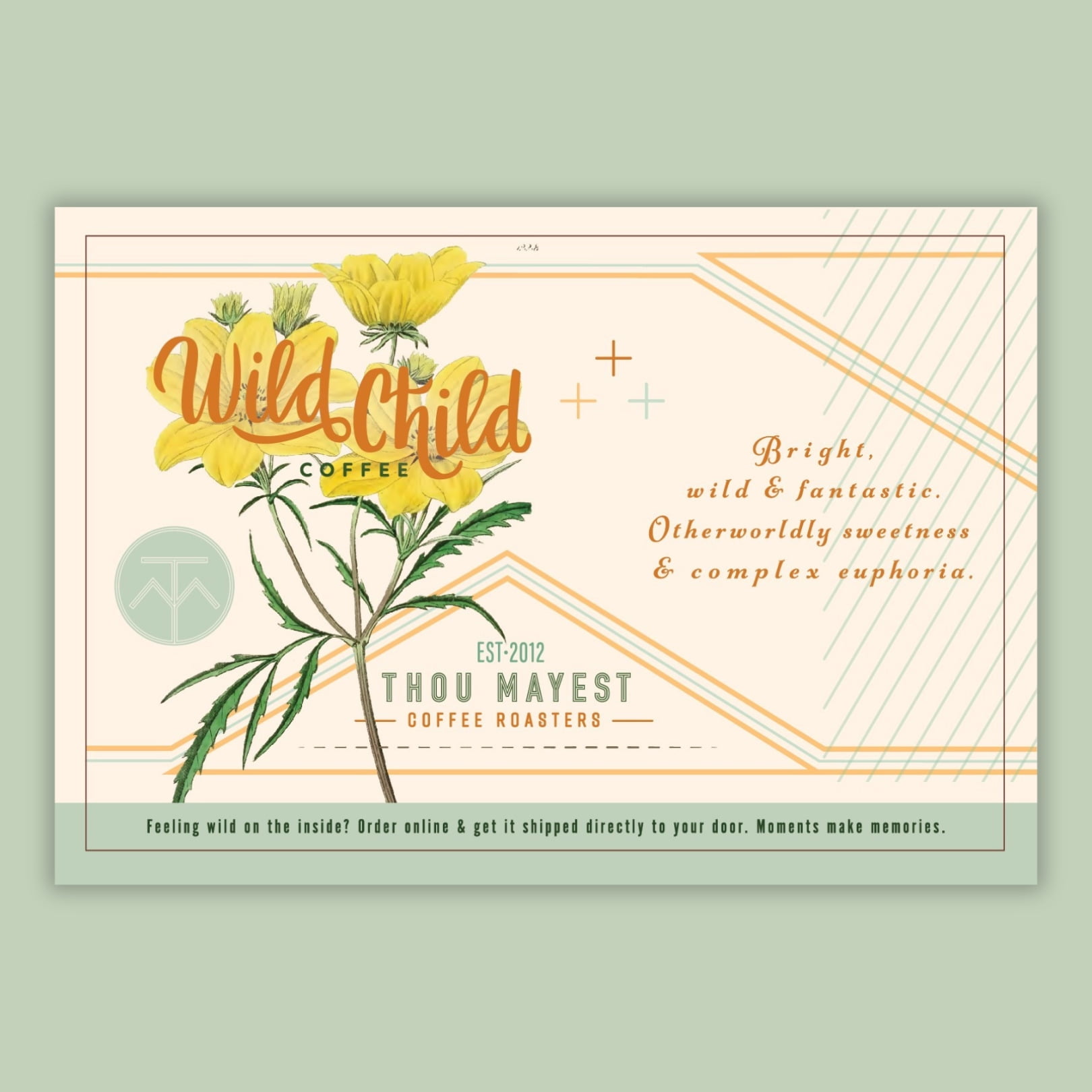 Wild Child | 12oz Whole Bean Light Roast Coffee