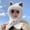 Milky white, variant on Cute hooded scarf hat thick solid color winter hat faux fur plush neck hijab warm bean elastic thick neck warm hat, (random ear styles)