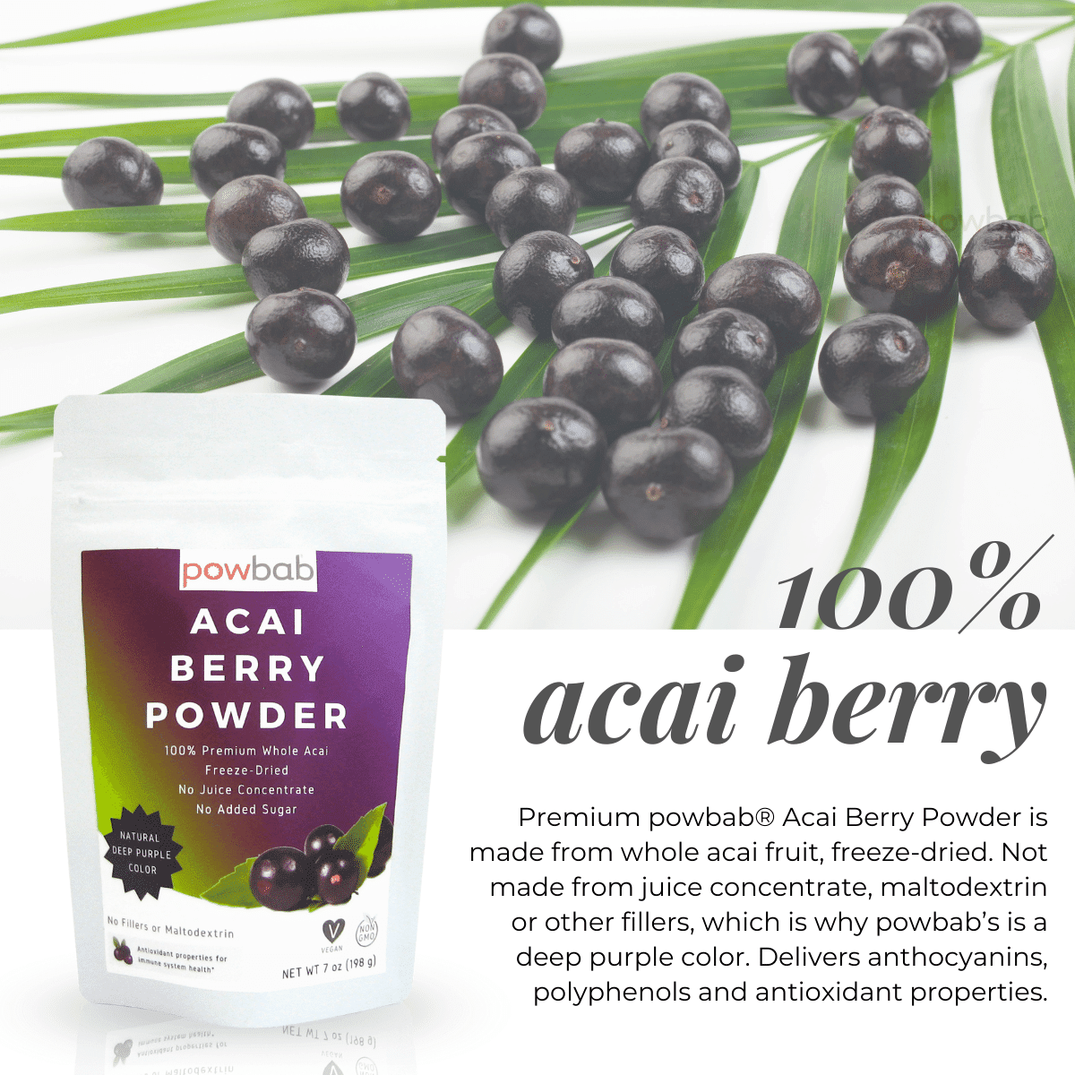 powbab Acai Berry Powder - 100% Organic Acai Berries Unsweetened (7 oz)