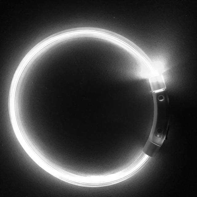 TIMIFIS Light Up Dog Collars Pet Flashing Collar USB Rechargeable Glowing Necklace Safety Collar Light Up Collars For Night Walking Electric Dog Collar Neon Led Dog Collar - Fall