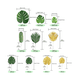thumbnail image 4 of 70 Piezas 10 Tipos Tropicales Hojas Artificiales Palma Decorativas Malubero Verde, 4 of 4
