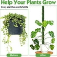 thumbnail image 6 of Tkrady 2 Pack Moss Pole, 25 Inch Bendable Moss Pole for Monstera, Moss Poles for Climbing Indoor, Coir Pole Sticks Support Stakes for Potted Plants, Pothos, Philodendron, 6 of 6