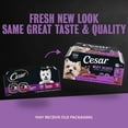 thumbnail image 4 of Cesar Loaf In Sauce Beef Flavors Adult Wet Dog Food Variety Pack, 3.5-Oz Trays 12 Ct., 4 of 15