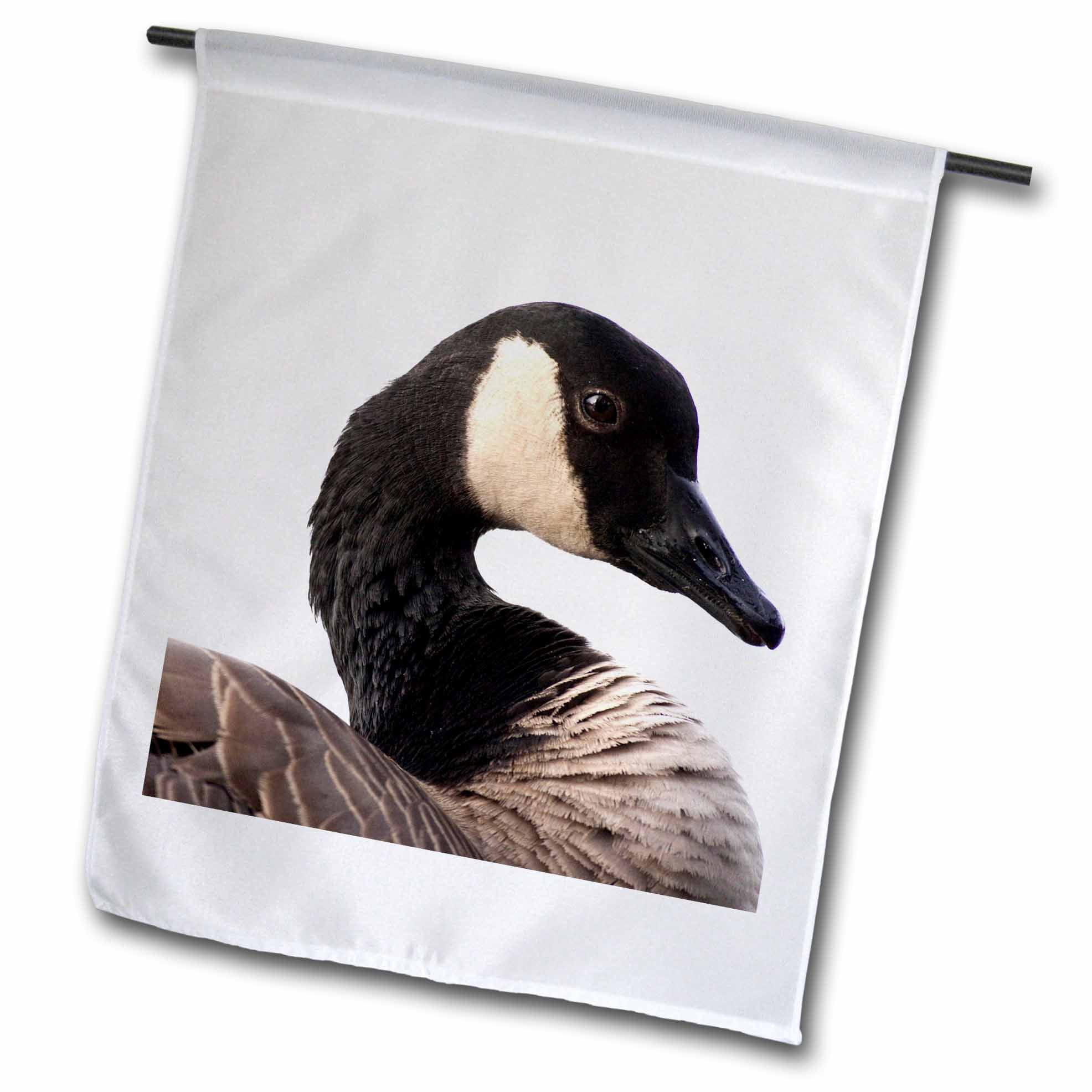3dRose A Canada Goose Branta canadensis bird NA02 RBR0001