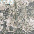 thumbnail image 3 of SAFAVIEH Cabana Selma Distressed Indoor/Outdoor Area Rug, 3 of 9