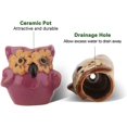 thumbnail image 2 of 6 piezas de macetas de plantas suculentas, Mini búho, maceta de cerámica para flores, bonsái en maceta, regalo de Cactus, decoración de ventanas para mesa de oficina en casa brillar Electrónica, 2 of 5