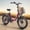 Rose Red, variant on 20" Folding Electric Bikes for Adults 1000W Peak 20mph Max Speed 70Miles Range Step Through Foldable E-Bike 7 Speed Front Fork Suspension Fat Tire E Mountain Bike 36V 13.5AH Battery, UL2849 Compliant