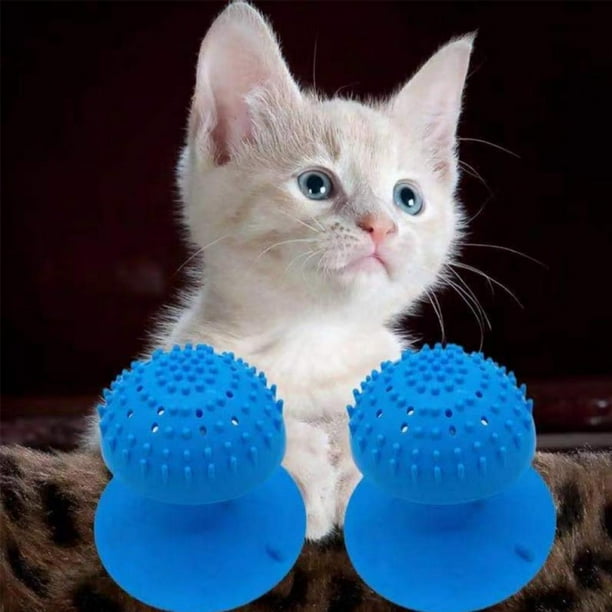 self grooming cat scratcher