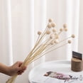 thumbnail image 5 of Uniquewise 20-Pcs Natural Dried Billy Ball Flowers Craspedia Bouquet for Home Party & Wedding Décor Real Buttons for Tall Vases Floral Arrangements DIY Crafts Centerpieces & Wreath Accents, Off White, 5 of 8