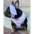 thumbnail image 3 of Frenchiestore Reversible Dog Health Harness | Mermazing, 3 of 8