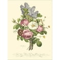 thumbnail image 2 of Art.com Plentiful Bouquet III Stretched Canvas Print Wall Art by T.L. Prevost, 24" x 32", 2 of 4
