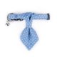 thumbnail image 3 of Collar de tela para mascotas con diseño de gato y perro con correa a juego, 3 of 8