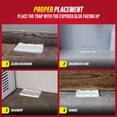 thumbnail image 4 of Catchmaster Cold Weather Mouse Traps Indoor for Home 6-PK, Winter Glue Trap for Mice, 4 of 6