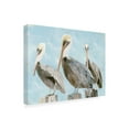 thumbnail image 2 of Stellar Design Studio 'Soft Brown Pelican III' Canvas Art, 2 of 3