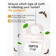thumbnail image 4 of Pantry Moth Traps 10 Pack, Sticky Glue Traps with Professional Strength Pheromones for Food Cupboards, Kitchen and House Pantry, Non Toxic, 4 of 7