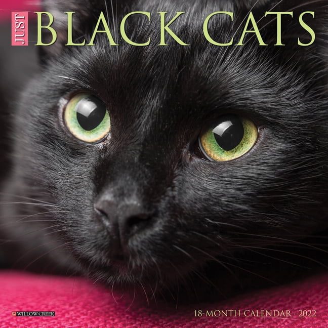 Just Black Cats 2022 Mini Wall Calendar (Other) - Walmart.com - Walmart.com