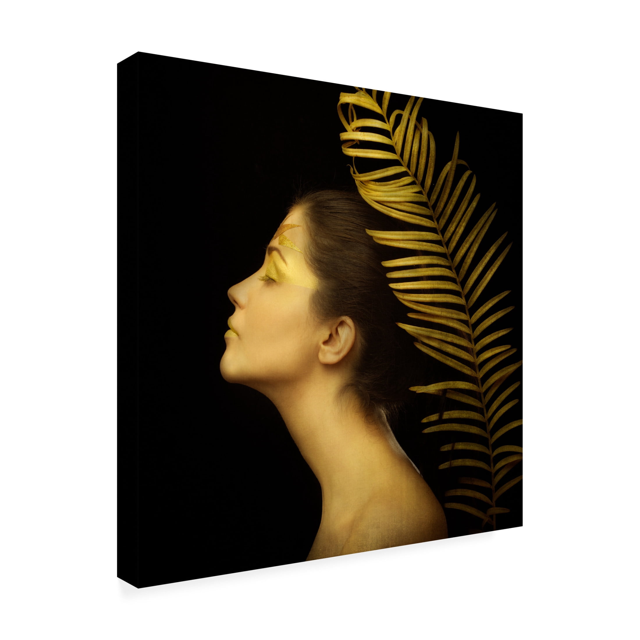 Canvas Wall Art - Ivan Tonov 'Leaf' Wall Art for Living Room, Bedroom, or Office Décor by Trademark Fine Art - 14 x 14 Inches