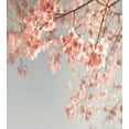 thumbnail image 3 of Ambesonne Peach Duvet Cover Set, Japanese Scenery Sakura Tree Cherry Blossom Nature Photography Coming of Spring, Decorative 3 Piece Bedding Set with 2 Pillow Shams, King Size, Burgundy Teal King Burgundy Teal, 3 of 3