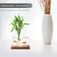 thumbnail image 3 of Miangastore Hydroponic Glass Vase For Indoor Plants Water Propagation Station Terrarium Container With Wooden Base For Desktop Or Window Display, 3 of 9
