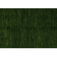thumbnail image 1 of Ahgly Company Indoor Rectangle Abstract Green Modern Area Rugs, 2' x 4', 1 of 4