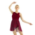 thumbnail image 1 of LiiYii Robe de Ballet Sans Manches en Maille Fluide pour Femmes Costume de Danse Lyrique pour Performance sur Scène Rouge Vin S, 1 of 8